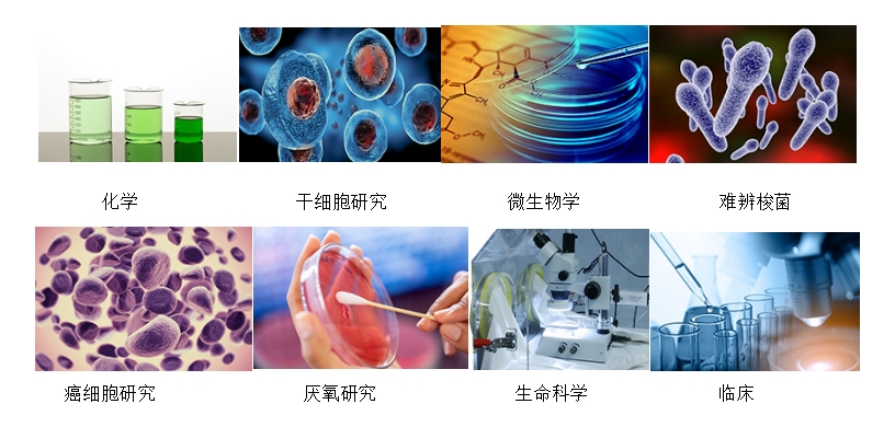 微信截图_20250306134206